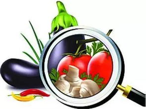 新規來了！5月1日起，平陽這樣管路邊攤玩具